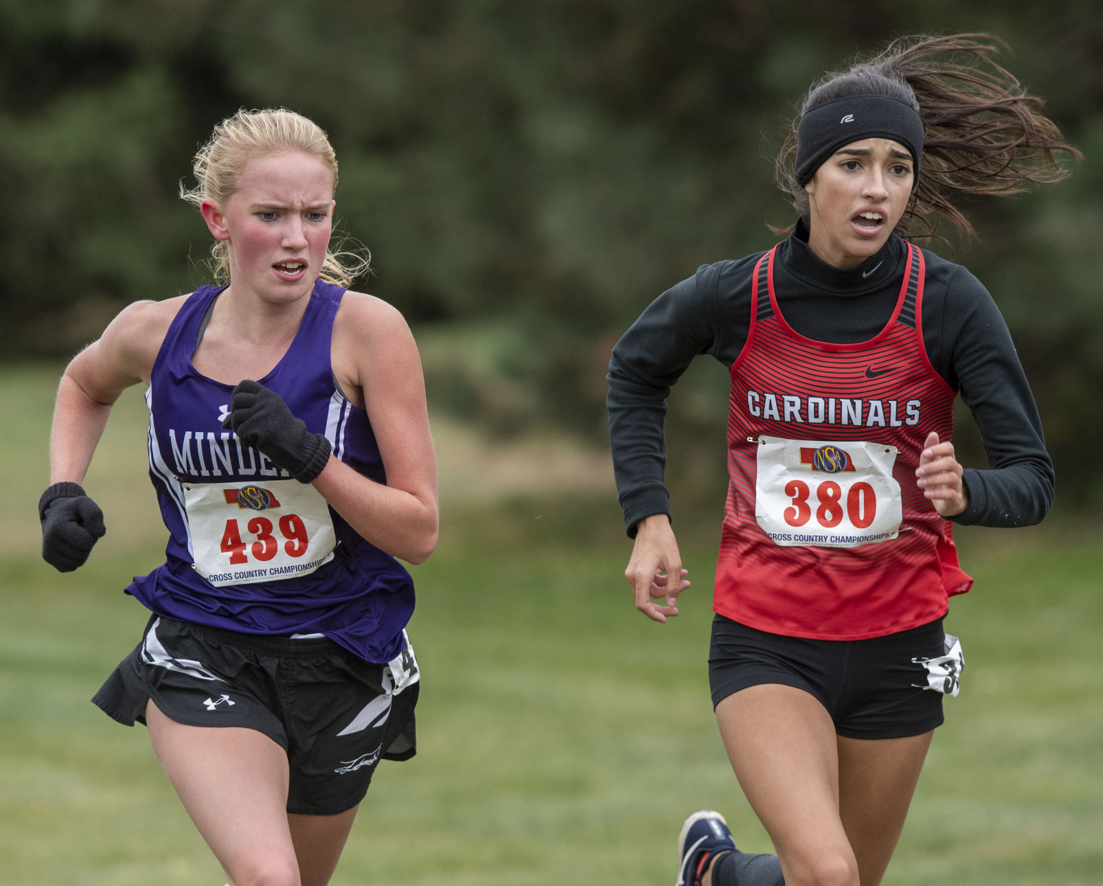State cross country, 10.23